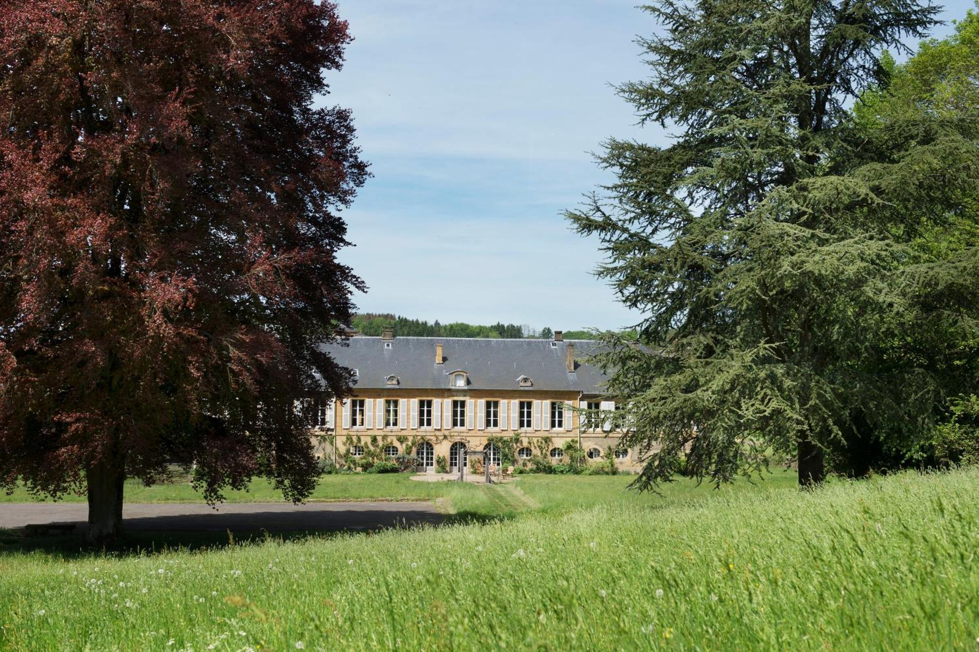 Chateau De Martigny Bed and Breakfast Colmey Exterior foto